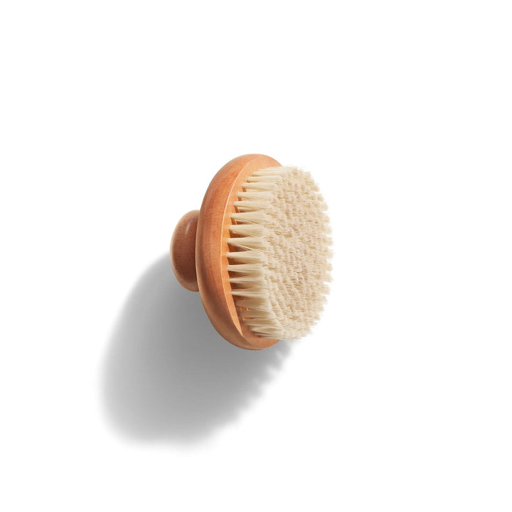 Dry Body Brush A1